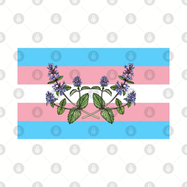 Catnip Trans Flag by ElDraque1996