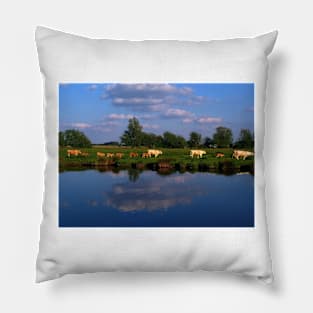 Idyll. Cows in Ely, UK Pillow