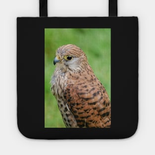 kestrel Tote