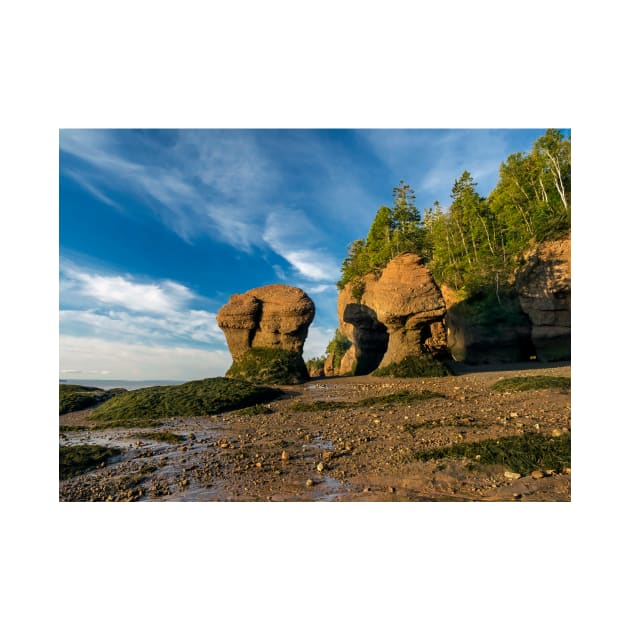 Hopewell Rocks by algill