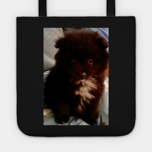 Pom Repost 2 Tote