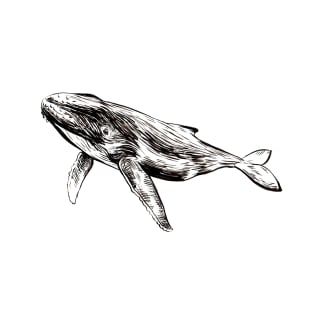 A Whale T-Shirt