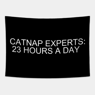 Catnap Masters: Embrace Zen-like Slumbers for 23 Blissful Hours! Tapestry