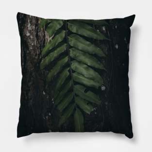 fern leave on the bark of the tree Pillow