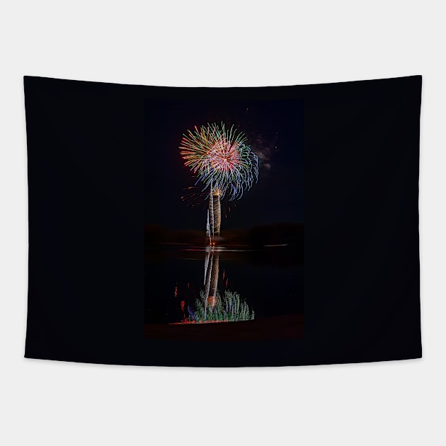 Feathery Fabulous Fireworks and Reflections Tapestry by SafariByMarisa