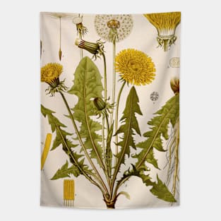 Dandelion Flower Growth Phases Tapestry