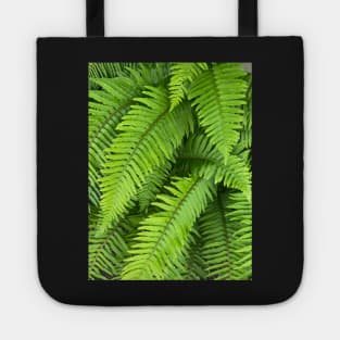 The Healing Power of Nature and the Green Forest Ferns Tote
