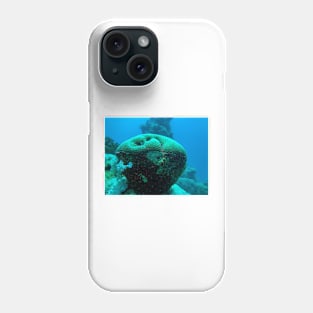 coral reef with fish Phone Case