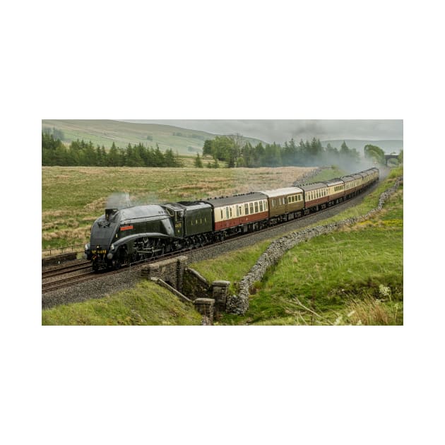 A4 "Sir Nigel Gresley" at Ais Gil, Cumbria in the rain by davehudspeth