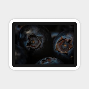 Macro Blueberries Magnet