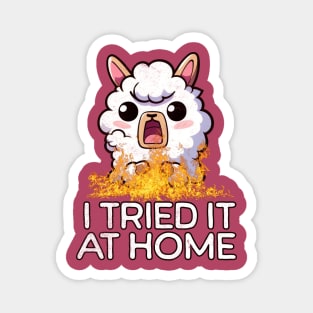 I Tried It At Home Llama Funny Magnet