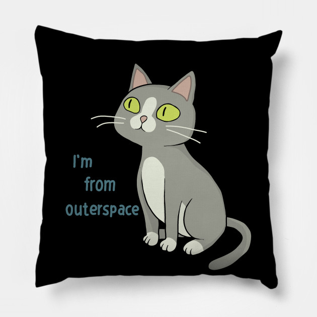 Talking Cat Rick And Morty Rick And Morty Pillow Teepublic