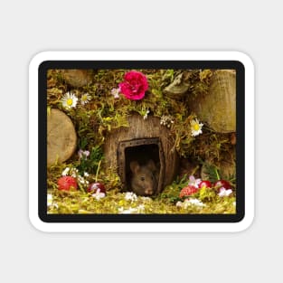 little mouse in a log pile house Magnet