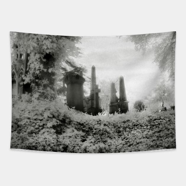 A Victorian Graveyard shot using infra-red film, West Midlands, UK Tapestry by richflintphoto