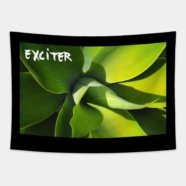 Exciter FanMode Tapestry by GermanStreetwear
