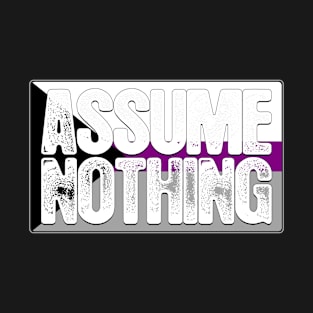 Assume Nothing Demisexual Pride Flag T-Shirt