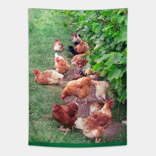 Vineyard With Chickens Tapestry