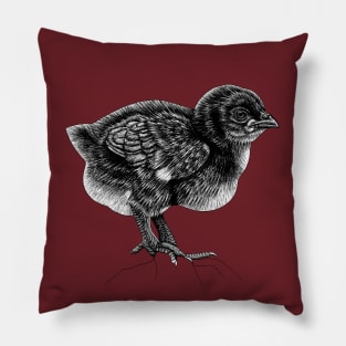 Baby chick Pillow