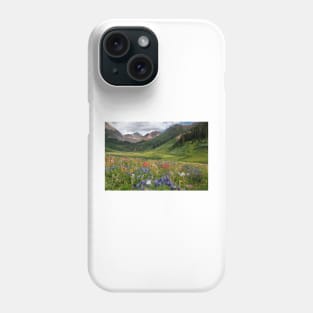 Alpine flowers in Rustler's Gulch, USA (C006/5999) Phone Case