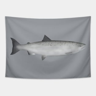 Coho Salmon -Ocean Phase Tapestry