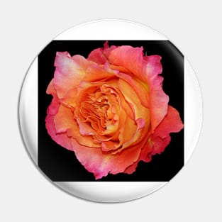 Rose Pin