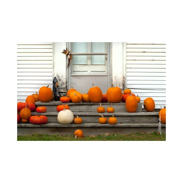 Pumpkin Harvest by srwdesign