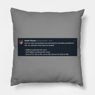 Support Heath's Legal Fees! Pillow