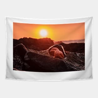 Orange Starfish and Sunset Tapestry