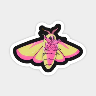 Rosy maple moth Magnet