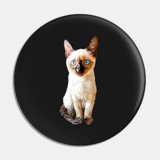 Siamese Kitten Gorgeous cat Pin