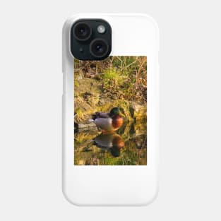 Mallard in reflective mood Phone Case