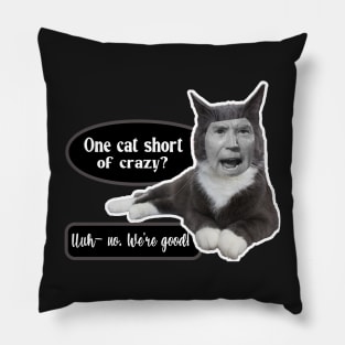 ONE CAT SHORT OF CRAZY UUH NO  ~ CAT STICKERS OF ANGRY CAT GRAY CAT FUNNY BIDEN MEME QUOTE Pillow