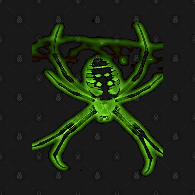Real Spider possible radioactive by SeththeWelsh