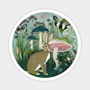 Hare Magnet
