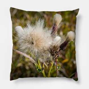 Thistle and the end. Pillow
