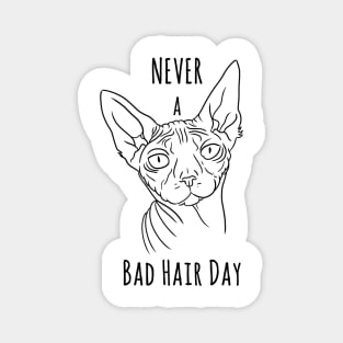 Never a bad hair day Magnet