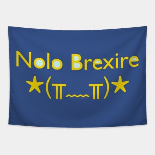 Nolo Brexire (I don't want to Brexit) Tapestry