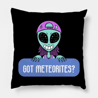 Meteorite Collector Got Meteorites? Meteorite Pillow