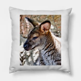 Wallaby Pillow