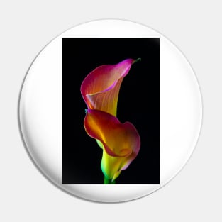 Two Beautiful Lovely Calla lilies Pin