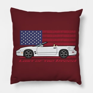 USA - Last of the breed Pillow