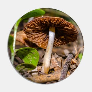 Mushroom Cap on the Woodlands Floor Photograph Pin