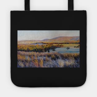 Colours of Evening - Dysart Tote