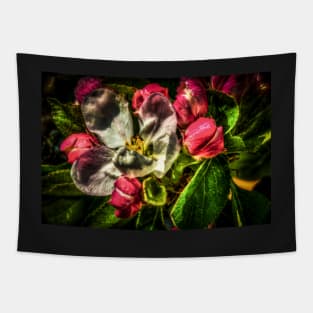 HDR Apple Blossom Tapestry