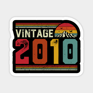 Vintage 2010 Birthday Gift Retro Style Magnet