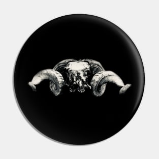 Ram Skull II / Swiss Artwork Photography Pin