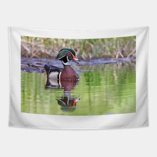 Wood duck Tapestry