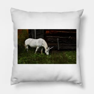 Do you believe in Unicorns? Pillow
