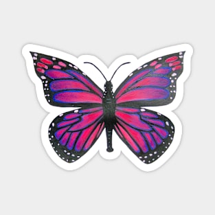 Pink Butterfly Magnet