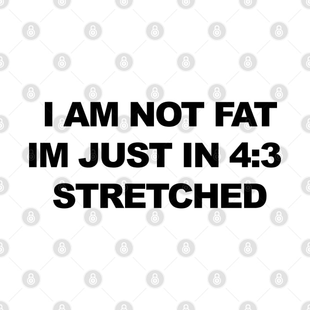 I am not fat, im just in 4:3 stretched by Mrmera